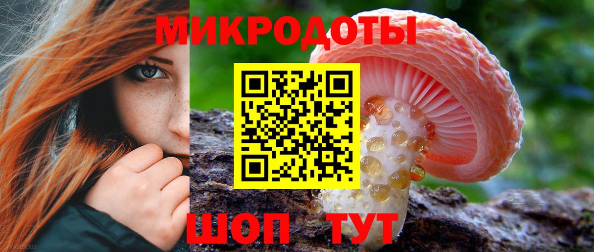 Чебаркуль  Псилоцибиновые грибы Cubensis  Псилоцибиновые грибы прущие грибы  Вход с VPN 