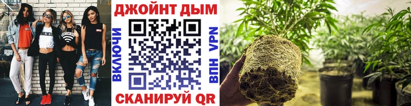 купить  сайты  Чебаркуль  Шишки марихуана VHQ 