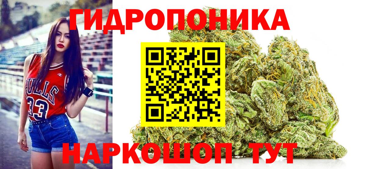 Каннабис индика Чебаркуль
